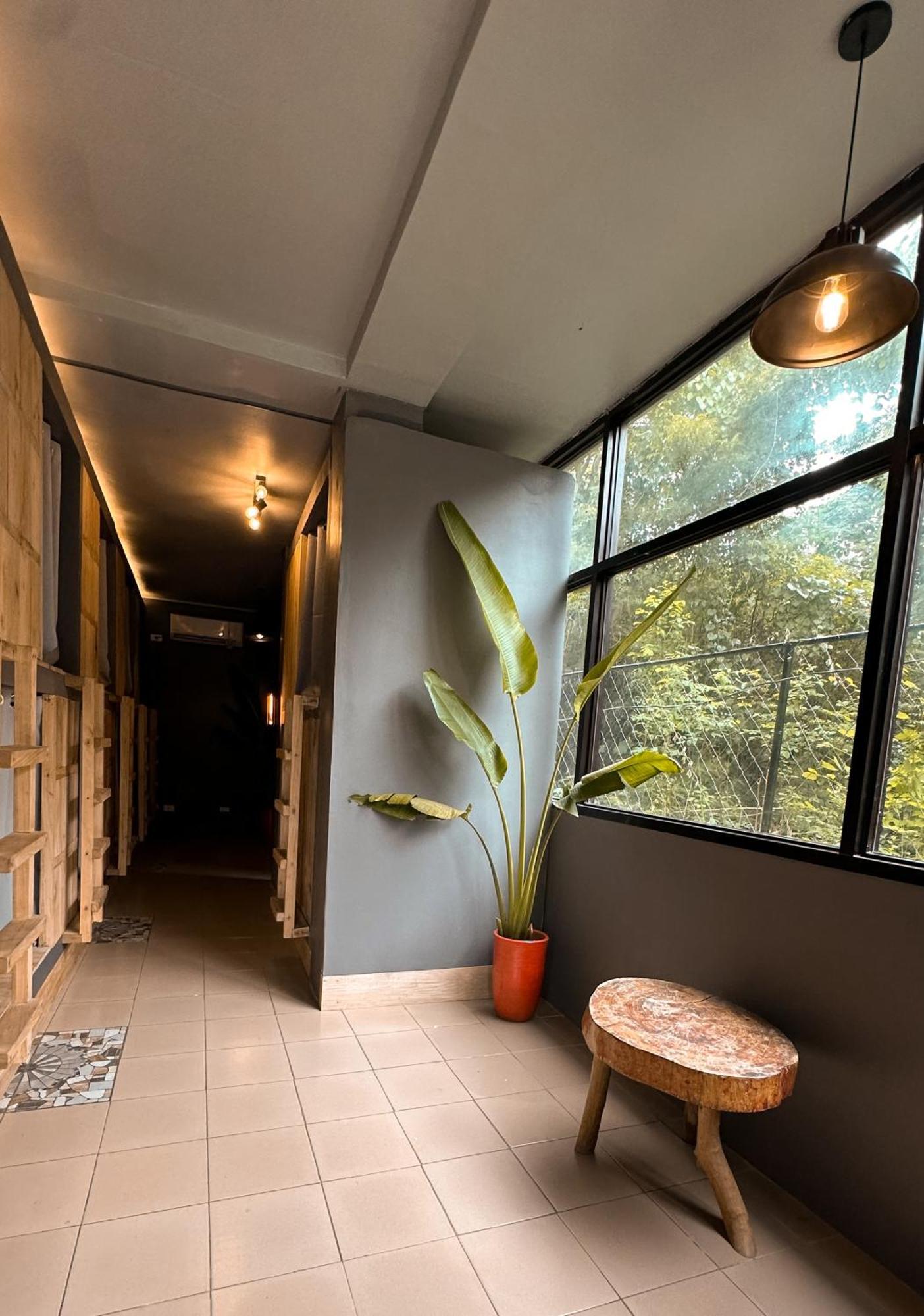 Resting Rabbit Hostel ซีคีฮอร์ ภายนอก รูปภาพ